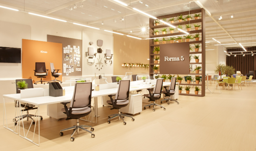 Forma 5 