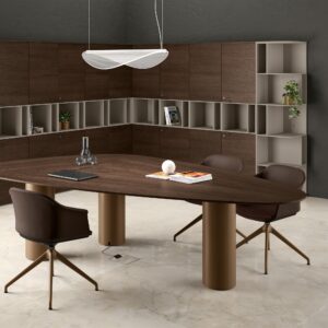 Trilo Meeting